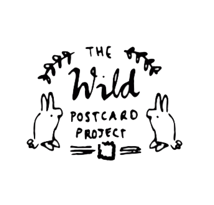 Wild Postcards